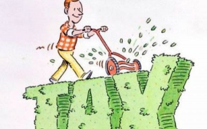Payment of dividends by the goods: what are the tax consequences?