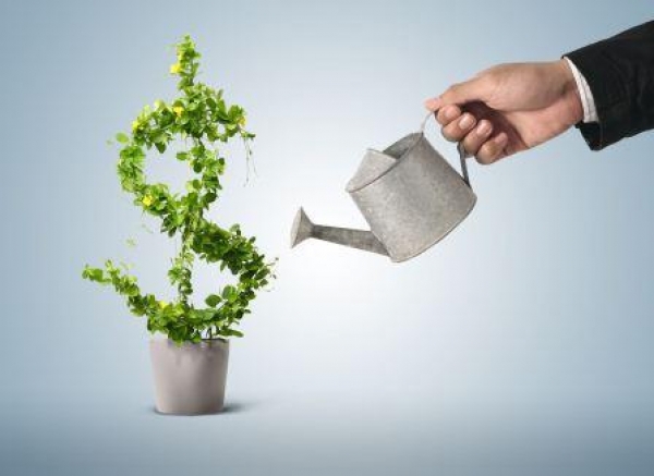 A law was adopted to encourage investment activity in Ukraine