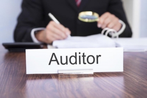 The size of the audit fee is set in favor of the public oversight body