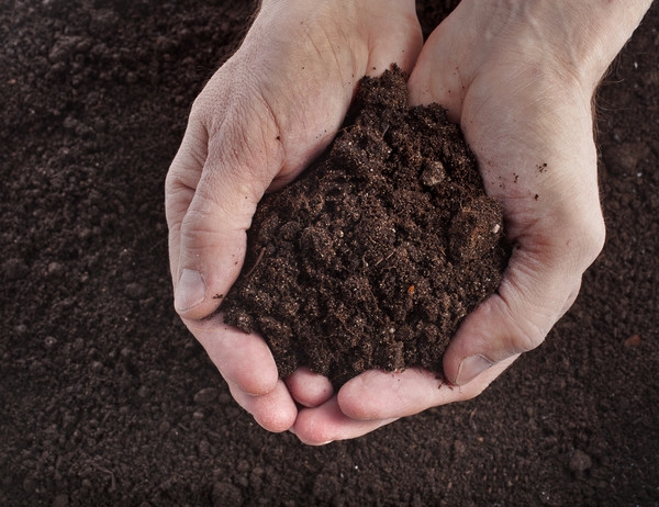 Law on the land market adopted: what are the main novelties?
