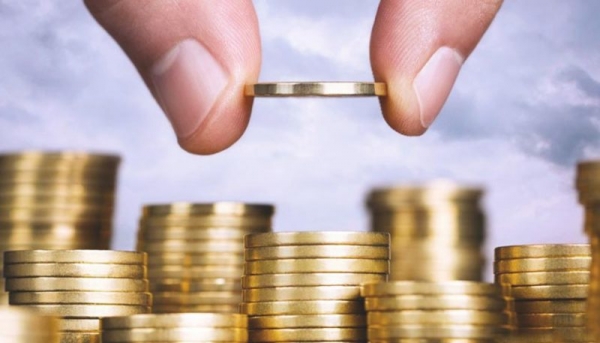 Can a single tax payer invest money in the authorized capital of another legal entity?
