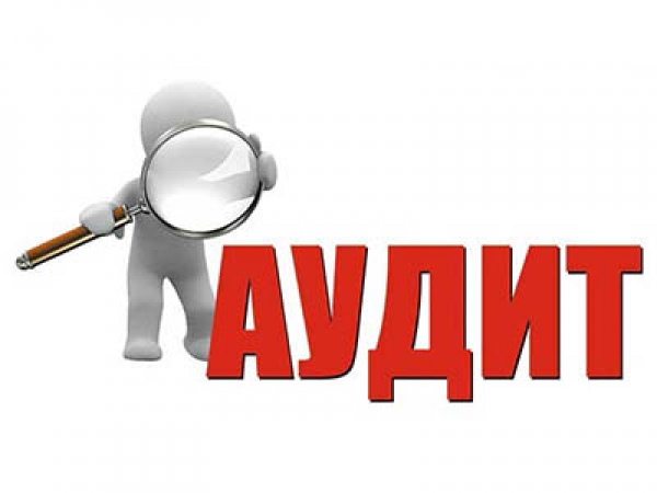 Внутрішній аудит холдингу: основні виклики за версією ПАБУ